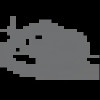 ava