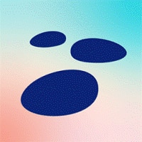 ava